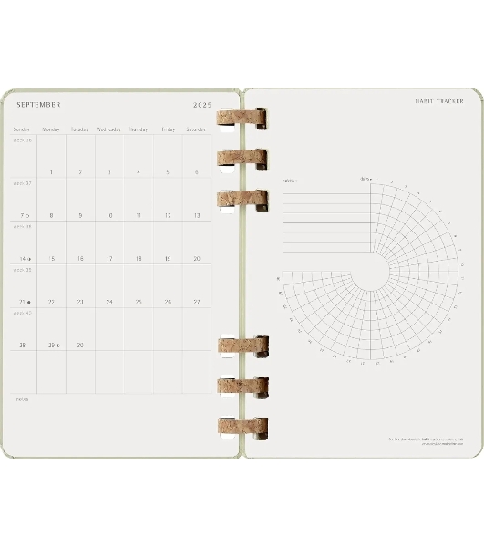 Еженедельник Moleskine ACADEMIC SPIRAL DHSPK5212AMWH3 Large 150х210 мм 200 стр. кремовые страницы спираль киви