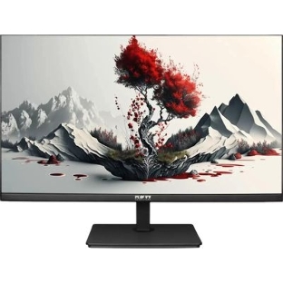 Монитор 23.8' RDW Computers RDW2401K IPS 1920x1080, 120 Гц, 5 мс, 16:9, 300 кд/м², VGA, HDMI 1.4, DP 1.2, 3.5 Jack, динамики (2×2 Вт), черный, в реестре Минпромторга