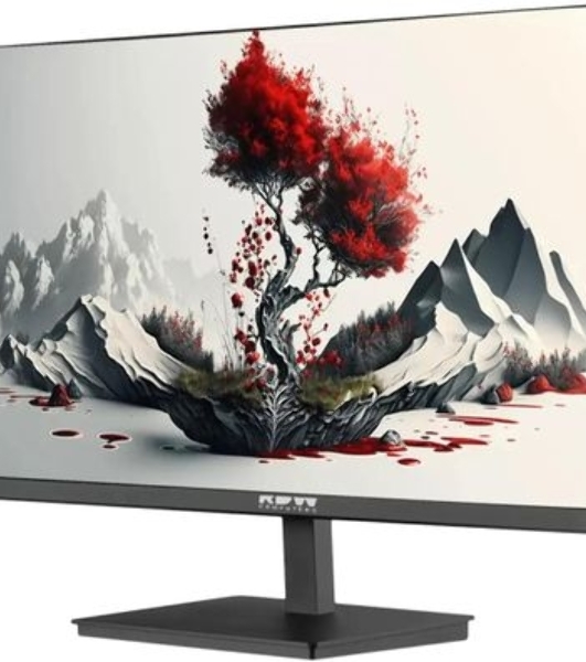 Монитор 23.8' RDW Computers RDW2401K IPS 1920x1080, 120 Гц, 5 мс, 16:9, 300 кд/м², VGA, HDMI 1.4, DP 1.2, 3.5 Jack, динамики (2×2 Вт), черный, в реестре Минпромторга