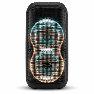 Колонка 06' (20-91 DANCE BOX 600) динамик 2шт/6.5' ELTRONIC с TWS