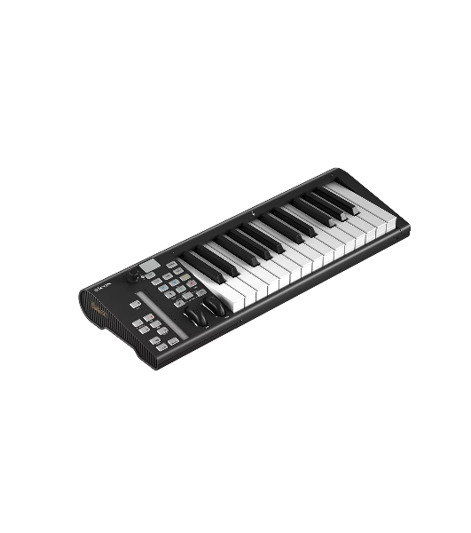 MIDI клавиатура 110105A2033 Icon Artist 25X