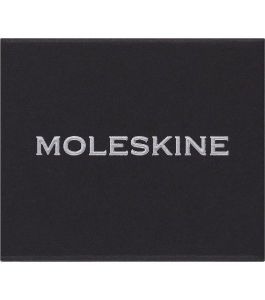 Шильд-символ Moleskine Zodiac Овен, металл, серебристый, коробка с европодвесом, PINARIESSILV