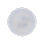 Лампа светодиодная GENERICA LL-T80-10-230-40-GX53-G T80 10Вт таблетка 4000К GX53 230В, фото2