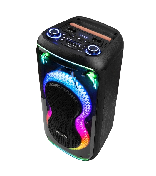 Колонка 08' (20-93 DANCE BOX 800) динамик 2шт/8' ElTRONIC с TWS