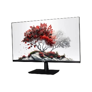 Монитор RDW Computers 23.8' RDW2401K черный IPS 4ms HDMI M/M HAS Piv 350cd 178гр/178гр 1920x1080 100Hz VGA DP FHD USB (RUS)
