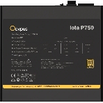 Блок питания 750W Ocypus Iota P750 (ATX, 80 PLUS Gold, APFC, 20+4 pin, 120мм fan, PCI-E 6+2Px3, 8xSATA) (Iota-P750-G1FFBK024X-EU), фото5