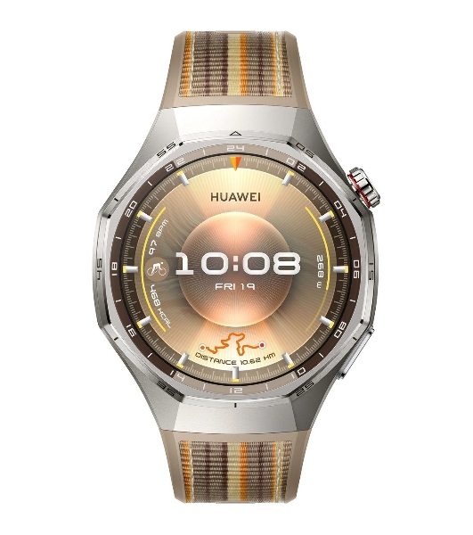 Умные часы HUAWEI Watch GT 6 Pro ATM-B29, 1.47' AMOLED, Wi‑Fi, Bluetooth, NFC, 5 ATM/IP69, коричневый / серебристый