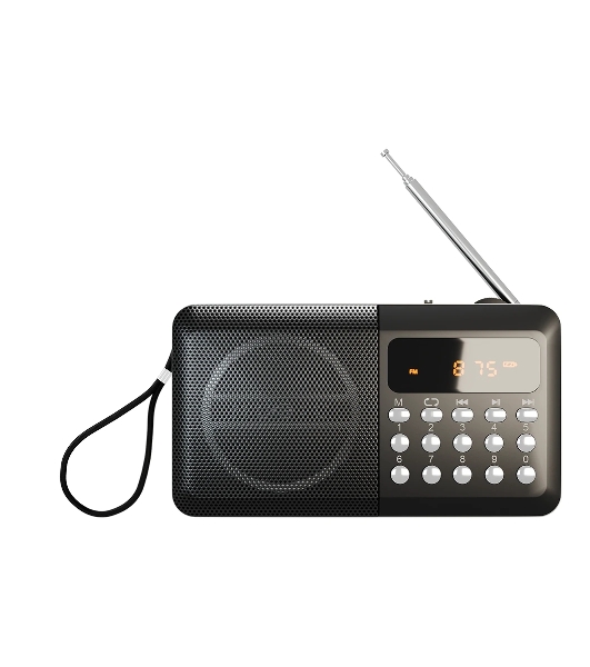 Радиоприемник SOUNDMAX SM-RD2116 черный