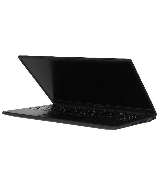 Ноутбук 15.6' IPS FHD RIKOR NINO 201.1 черный (AMD Ryzen 5 5500U/16Gb/256Gb SSD/VGA int/W11Pro/RJ45) (D6EC3CC9)