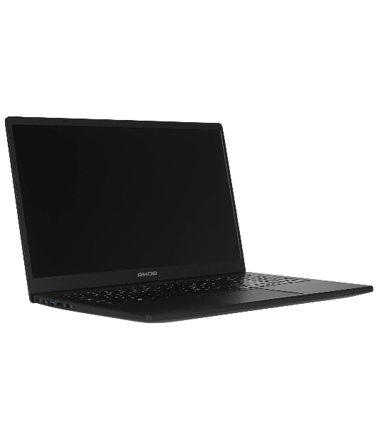 Ноутбук 15.6' IPS FHD RIKOR NINO 201.1 черный (AMD Ryzen 5 5500U/8Gb/256Gb SSD/VGA int/W11Pro/RJ45) (7589B8EC)