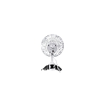 Вентилятор Centek CT-5003 серый/белый, настольный, 20 Вт, 2 скорости, 15 см, фото4