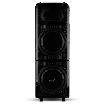 Колонка 10' (20-22 SKILLETS BOX 2500 ) динамик 2шт/10' ELTRONIC с TWS, фото4