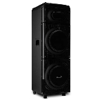 Колонка 10' (20-22 SKILLETS BOX 2500 ) динамик 2шт/10' ELTRONIC с TWS, фото10