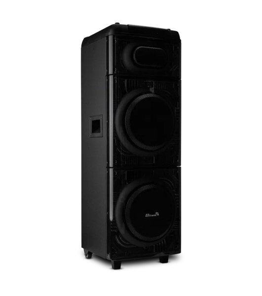 Колонка 10' (20-22 SKILLETS BOX 2500 ) динамик 2шт/10' ELTRONIC с TWS