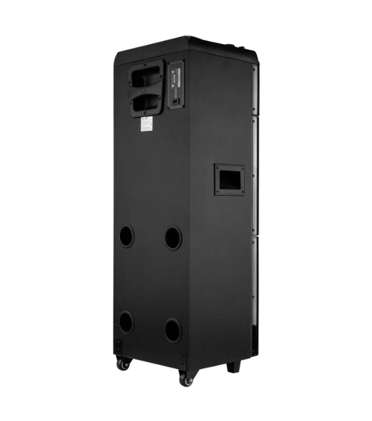 Колонка 10' (20-22 SKILLETS BOX 2500 ) динамик 2шт/10' ELTRONIC с TWS