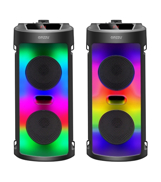 Акустическая система Midi GM-231 TWS/BT/USB/TF/FM/ДУ черный
