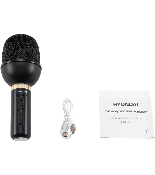 Микрофон беспроводной Hyundai H-MIC101 черный