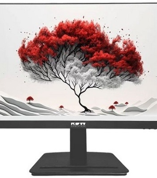 Монитор RDW Computers 23.8' RDW2401K черный IPS 4ms HDMI M/M HAS Piv 350cd 178гр/178гр 1920x1080 120Hz VGA DP FHD USB (RUS)