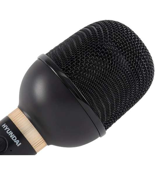 Микрофон беспроводной Hyundai H-MIC101 черный