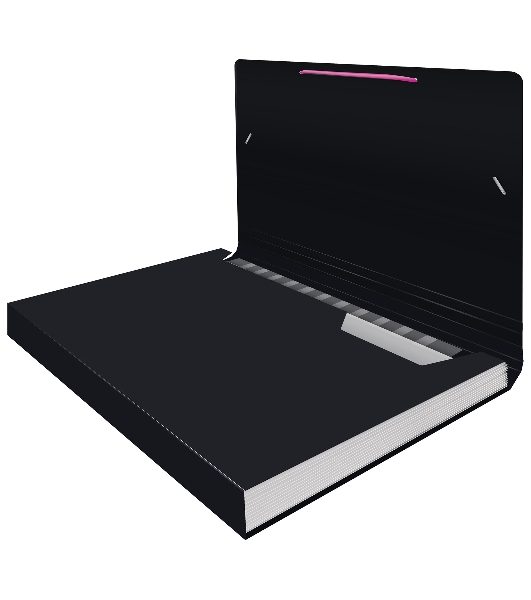 Папка-портфель Бюрократ Black Opal BLPP13 13 отделений, A4, пластик, 0.7мм, черный/ассорти
