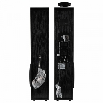 Колонки ELTRONIC (30-49 черный) HOME SOUND - 10 ', черный, фото6