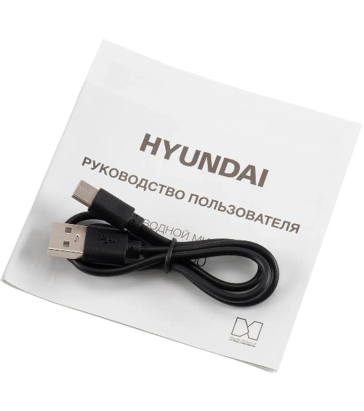 Микрофон беспроводной Hyundai H-MIC100 черный