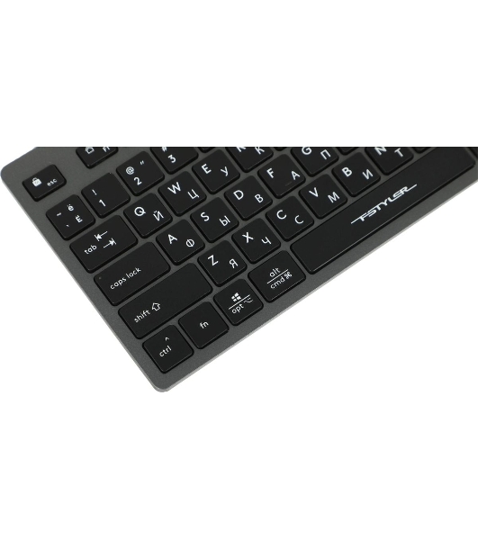 Клавиатура проводная A4Tech Fstyler FX50, USB, серый