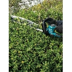 Кусторез Makita UH020GZ аккум., фото3