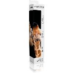 Коврик для мыши Smartbuy (SBMP-103-GI) Giraffe S-size, фото3