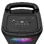 Колонка портативная Ural Молния 111 черный 40W 2.0 BT/3.5Jack/USB 1500mAh (МОЛНИЯ 111), фото3