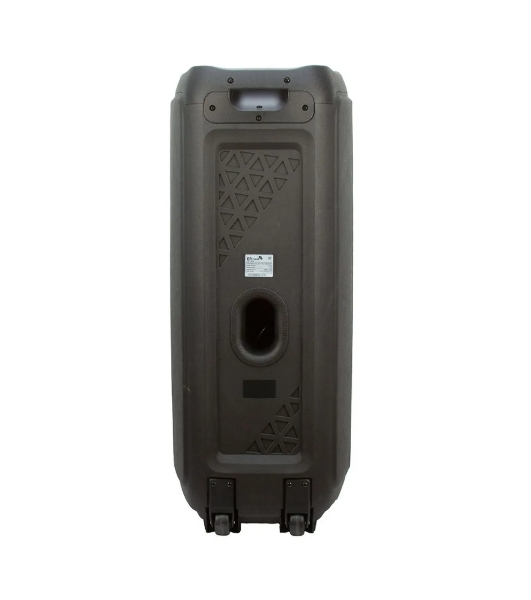 Колонка Eltronic 10' динамик 2шт/10' с TWS 100 Вт черный