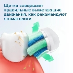 Электрическая зубная щетка Philips HX3651/12 голубой, фото6