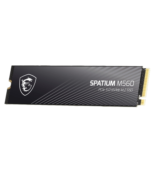 Накопитель SSD MSI M.2 2280 2Tb SPATIUM M560 Client SSD S78-440Q940-P83, PCIe Gen4x4 with NVMe, 3D TLC, R/W 4900/4400