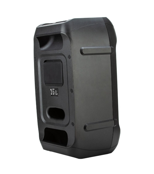 Колонка Eltronic 06' динамик 2шт/6.5' с TWS 120 Вт черный