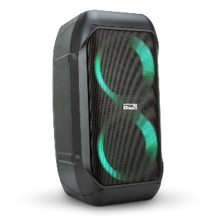 Колонка Eltronic 06' динамик 2шт/6.5' с TWS 120 Вт черный