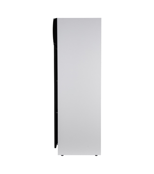 Акустическая система ELTRONIC (30-58) HOME SOUND - колонка 10', белый