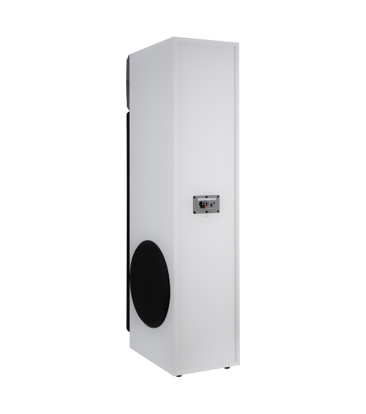 Акустическая система ELTRONIC (30-58) HOME SOUND - колонка 10', белый