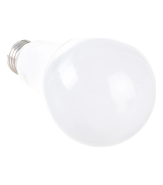 Лампа светодиодная Feron LB-100 25W 230V E27 6400K A65