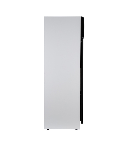 Акустическая система ELTRONIC (30-58) HOME SOUND - колонка 10', белый