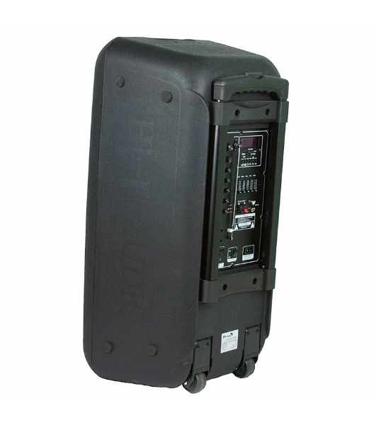 Колонка Eltronic 10' (20-14 DANCE BOX 300) динамик 2шт/10' с TWS 80 Вт черный