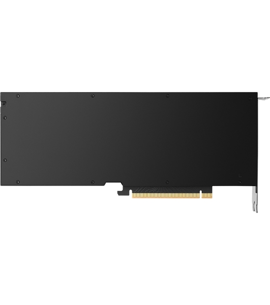 Видеокарта Nvidia RTX 5000 Ada Generation, 1 year