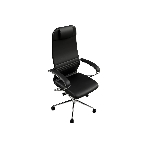 Кресло компьютерное ErgoLife Set 17/подл.131/осн.Sit 052, черный 5AD.16.1.2A3 z5AD.16.1.2A3, фото 1