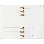 Еженедельник Moleskine ACADEMIC SPIRAL DHSPK5212AMWH3 Large 150х210 мм 200 стр. кремовые страницы спираль киви, фото5