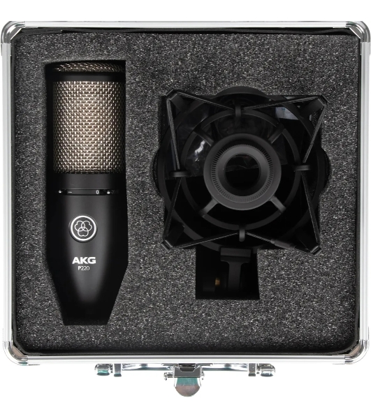 Микрофон AKG P220 3101H00420