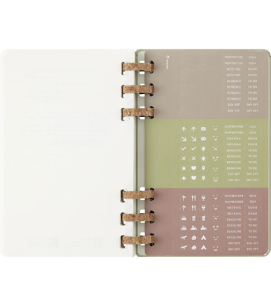 Еженедельник Moleskine ACADEMIC SPIRAL DHSPK5212AMWH3 Large 150х210 мм 200 стр. кремовые страницы спираль киви