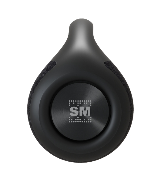 Портативная колонка Soundmax SM-PS5032B черный