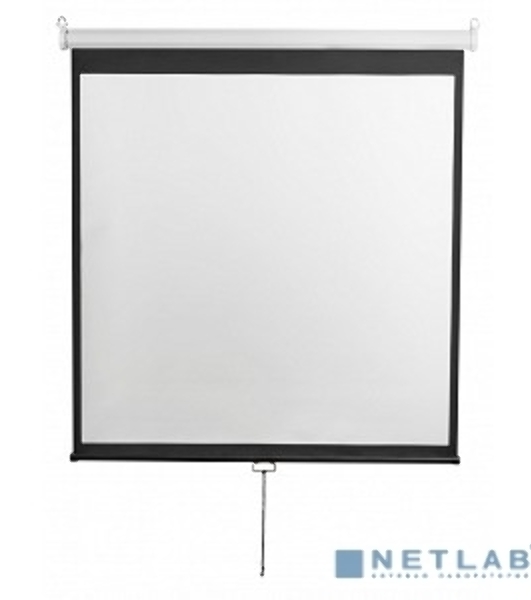 Экран 200x200см Digis Optimal-D DSOD-1105 1:1 настенно-потолочный рулонный