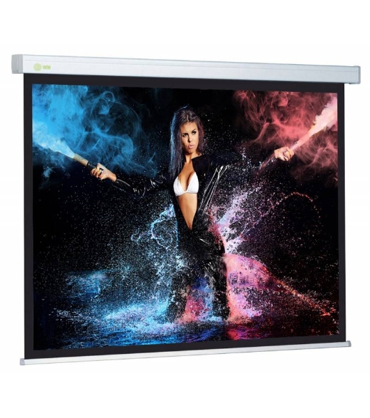 Экран Cactus 168x299см Wallscreen CS-PSW-168x299 16:9 настенно-потолочный рулонный белый