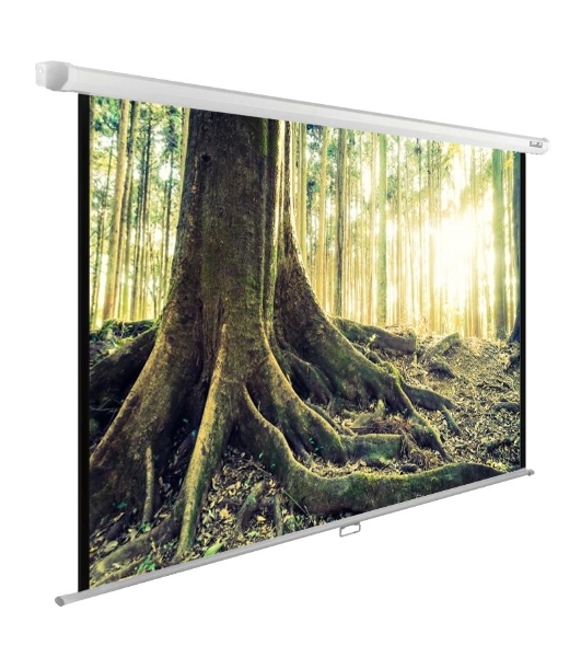 Экран Cactus 220x220см WallExpert CS-PSWE-220x220-WT 1:1 настенно-потолочный рулонный