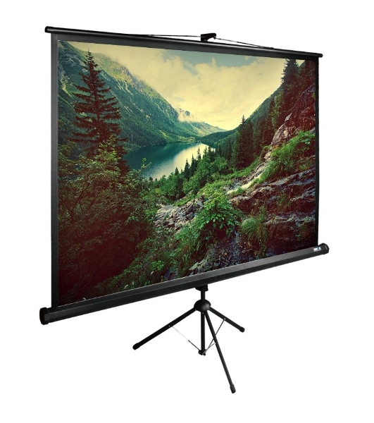Экран Cactus 220x220 см TriExpert CS-PSTE-220х220-BK 1:1 напольный рулонный